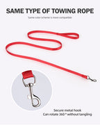 Dog Leash Harness Set Pet Reflective Bichon Frise Small Medium Dog Vest Harness Lead Outdoor Rope Walking Gear French Bulldog