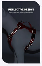 Dog Leash Harness Set Pet Reflective Bichon Frise Small Medium Dog Vest Harness Lead Outdoor Rope Walking Gear French Bulldog