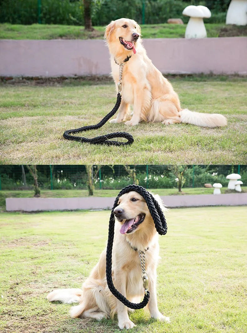 Comfort-Strong 5-Foot Braided Dog Leash: Ideal for Effective Training & Enjoyable Walks. Durability Meets Comfort