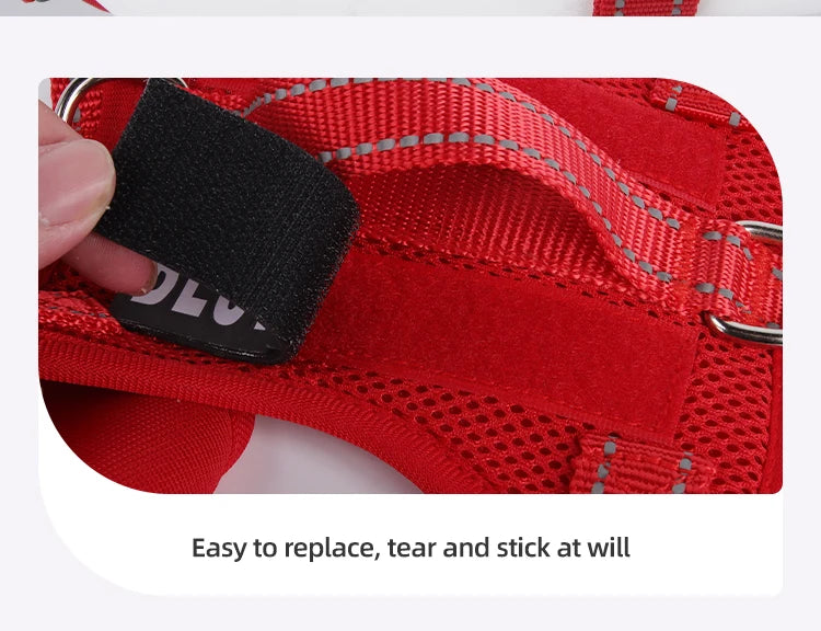 Dog Leash Harness Set Pet Reflective Bichon Frise Small Medium Dog Vest Harness Lead Outdoor Rope Walking Gear French Bulldog