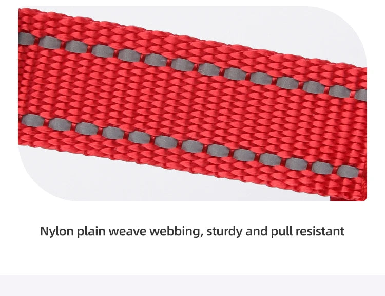 Dog Leash Harness Set Pet Reflective Bichon Frise Small Medium Dog Vest Harness Lead Outdoor Rope Walking Gear French Bulldog