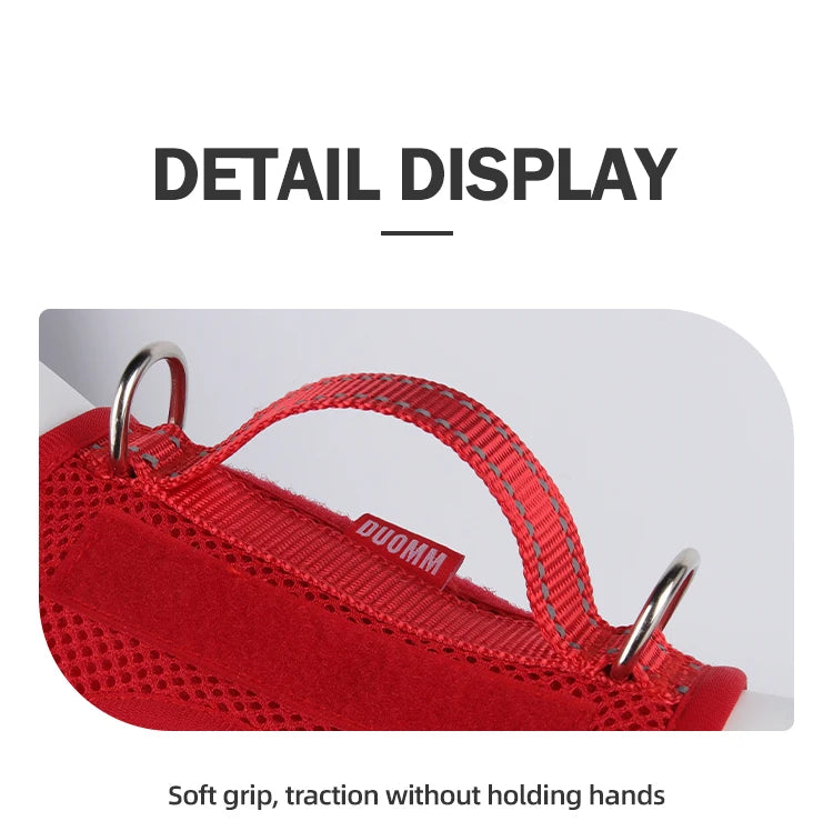 Dog Leash Harness Set Pet Reflective Bichon Frise Small Medium Dog Vest Harness Lead Outdoor Rope Walking Gear French Bulldog