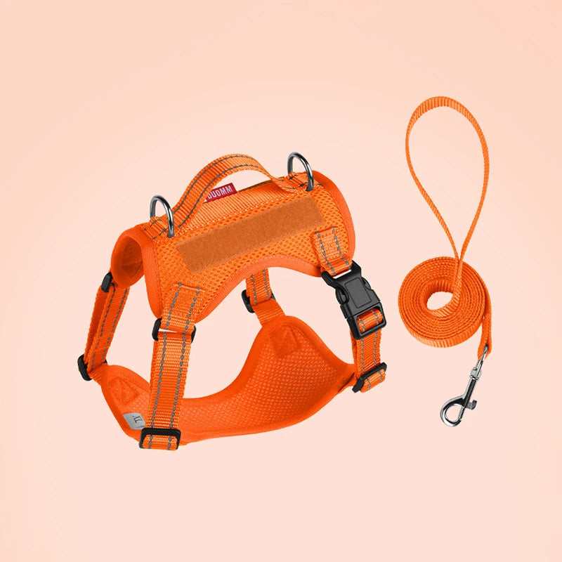 Dog Leash Harness Set Pet Reflective Bichon Frise Small Medium Dog Vest Harness Lead Outdoor Rope Walking Gear French Bulldog