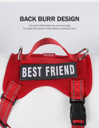 Dog Leash Harness Set Pet Reflective Bichon Frise Small Medium Dog Vest Harness Lead Outdoor Rope Walking Gear French Bulldog