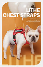 Dog Leash Harness Set Pet Reflective Bichon Frise Small Medium Dog Vest Harness Lead Outdoor Rope Walking Gear French Bulldog