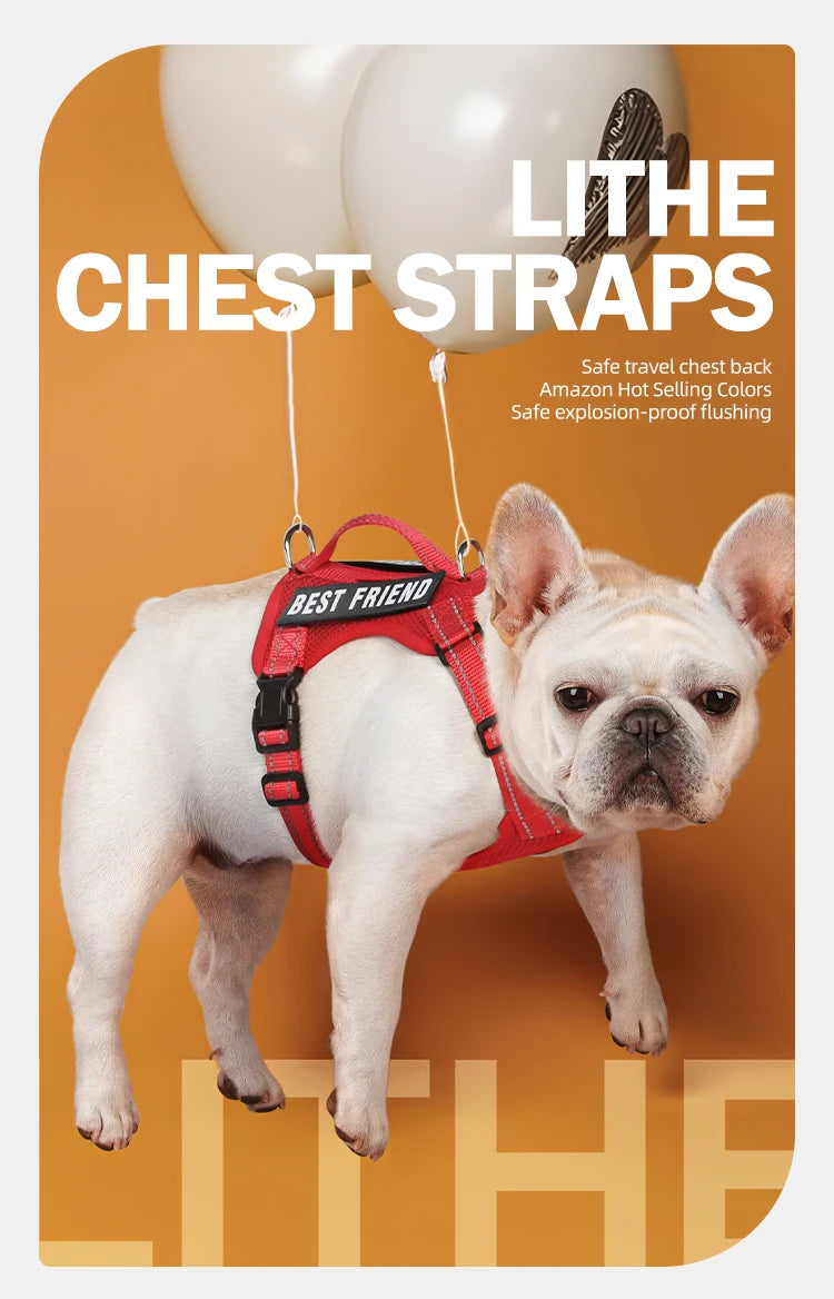 Dog Leash Harness Set Pet Reflective Bichon Frise Small Medium Dog Vest Harness Lead Outdoor Rope Walking Gear French Bulldog