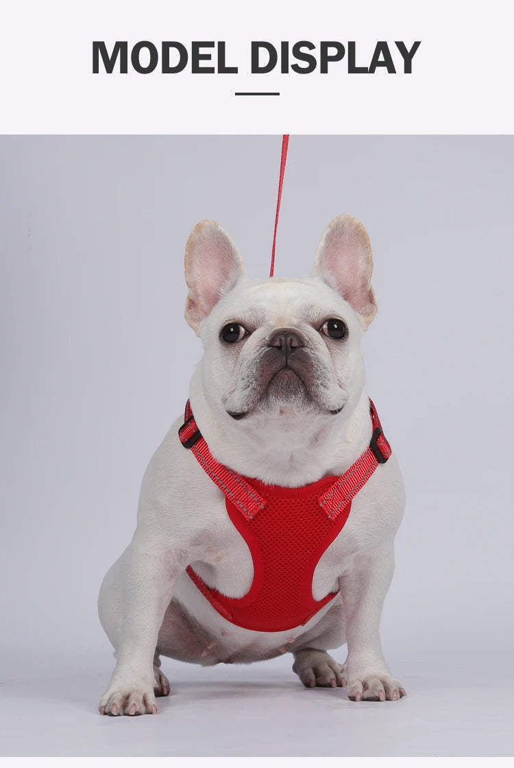 Dog Leash Harness Set Pet Reflective Bichon Frise Small Medium Dog Vest Harness Lead Outdoor Rope Walking Gear French Bulldog