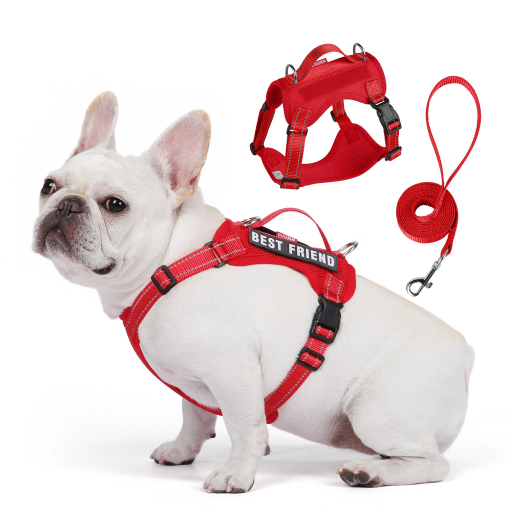 Dog Leash Harness Set Pet Reflective Bichon Frise Small Medium Dog Vest Harness Lead Outdoor Rope Walking Gear French Bulldog