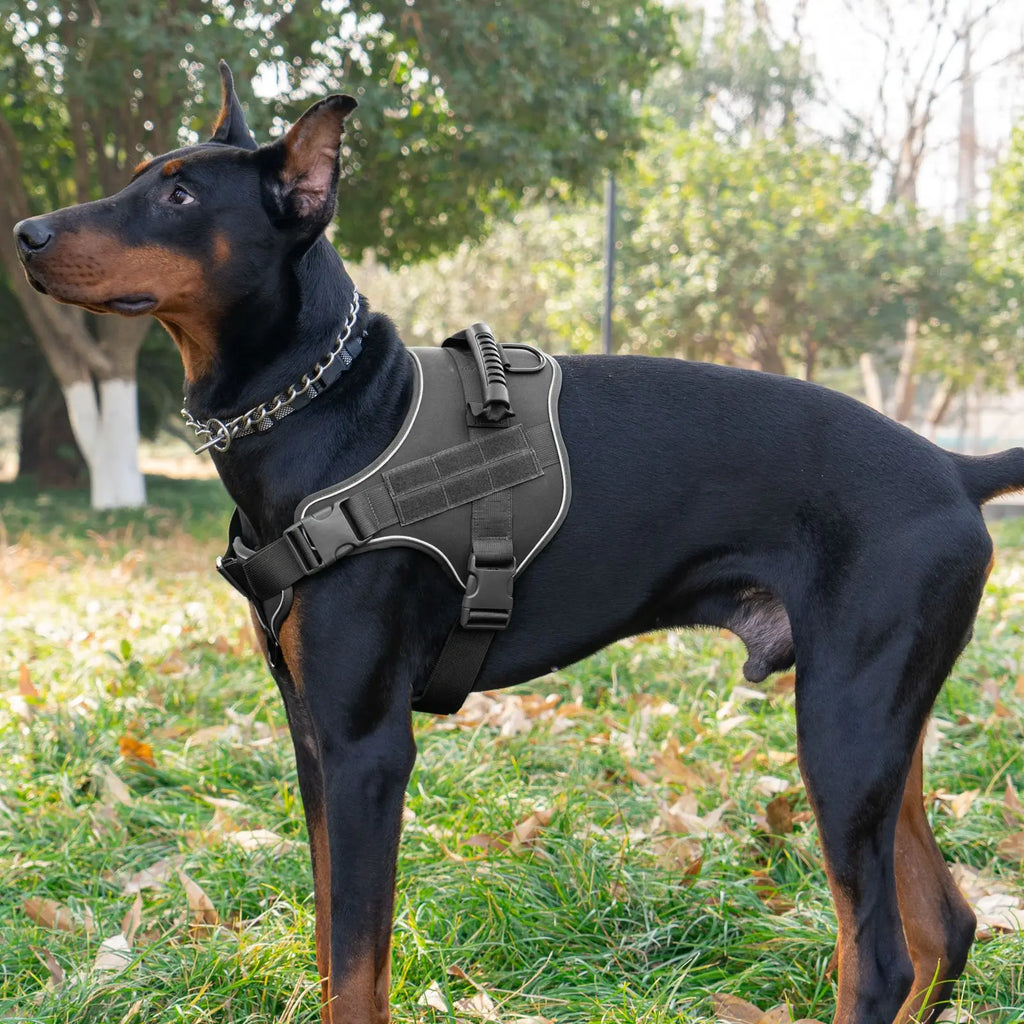 Dog Walking Accessories Dog Harness for Large Dogs Tactical Military Vest Pet German Shepherd Golden Retriever Tactical Training