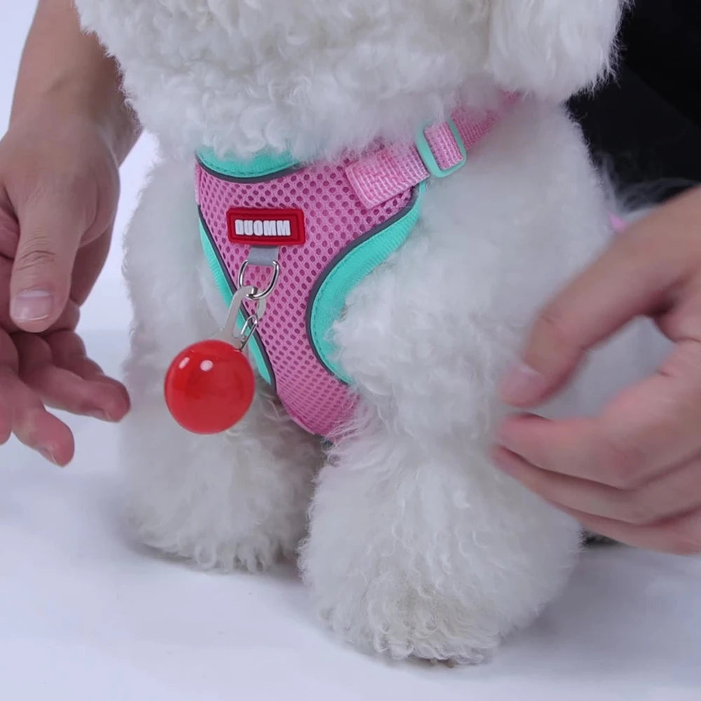 Soft Dog Harness Vest Leash , Adjustable Reflective Pet vest for Small Medium , Escape-Proof Soft Mesh Breathable  Walking Gear