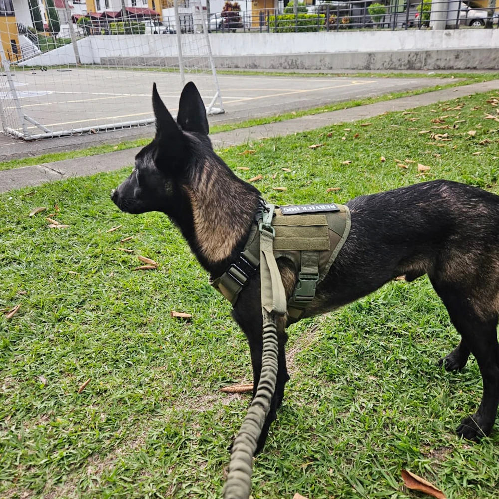 Tactical Dog Harness Leash Set for Large Dogs Military Harnesses for Training Walking Hunting Pet Vest Handle No Pull Malinois