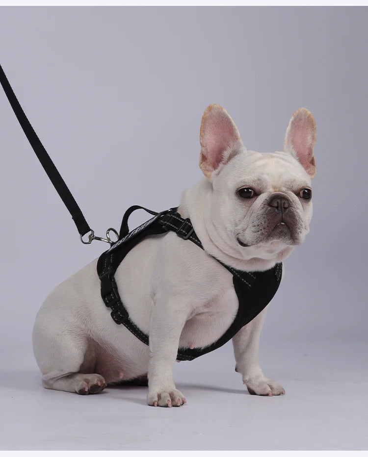 Dog Leash Harness Set Pet Reflective Bichon Frise Small Medium Dog Vest Harness Lead Outdoor Rope Walking Gear French Bulldog