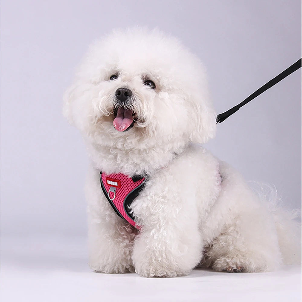 Soft Dog Harness Vest Leash , Adjustable Reflective Pet vest for Small Medium , Escape-Proof Soft Mesh Breathable  Walking Gear