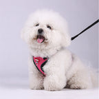 Soft Dog Harness Vest Leash , Adjustable Reflective Pet vest for Small Medium , Escape-Proof Soft Mesh Breathable  Walking Gear