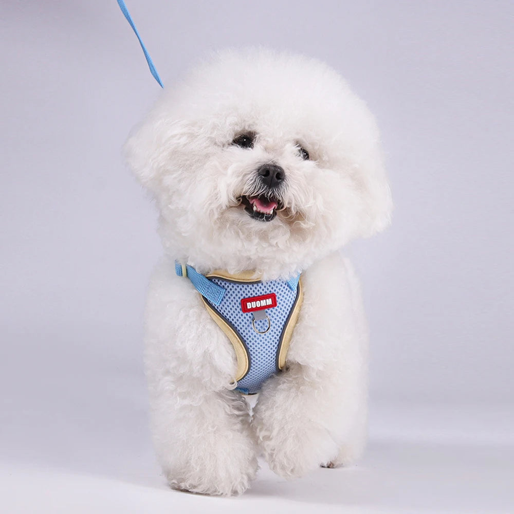 Soft Dog Harness Vest Leash , Adjustable Reflective Pet vest for Small Medium , Escape-Proof Soft Mesh Breathable  Walking Gear