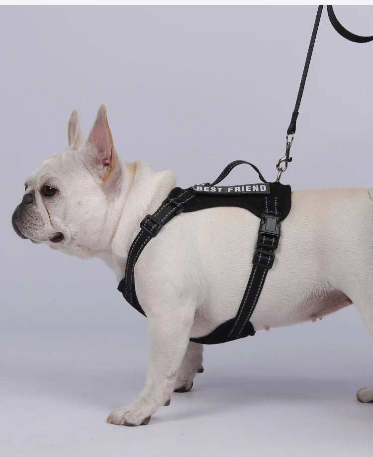 Dog Leash Harness Set Pet Reflective Bichon Frise Small Medium Dog Vest Harness Lead Outdoor Rope Walking Gear French Bulldog