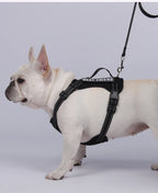 Dog Leash Harness Set Pet Reflective Bichon Frise Small Medium Dog Vest Harness Lead Outdoor Rope Walking Gear French Bulldog