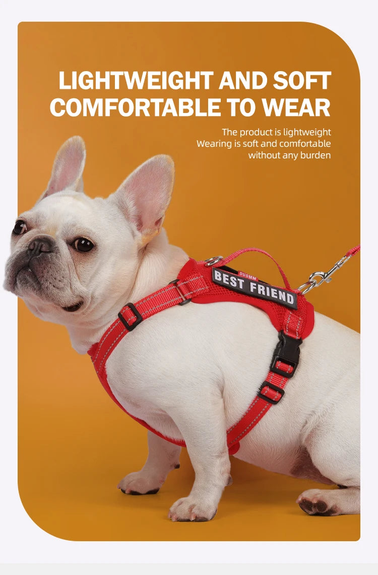 Dog Leash Harness Set Pet Reflective Bichon Frise Small Medium Dog Vest Harness Lead Outdoor Rope Walking Gear French Bulldog