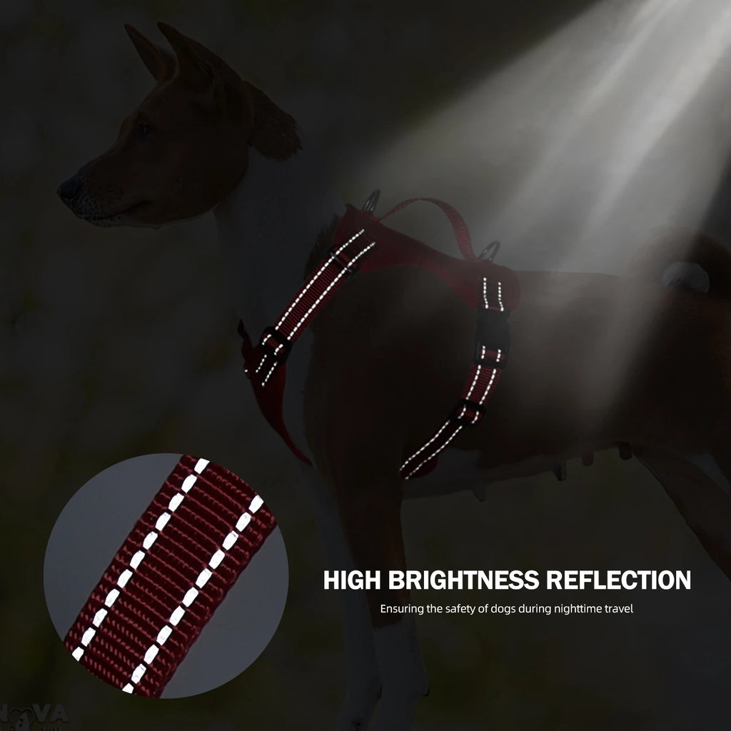 Dog Leash Harness Set Pet Reflective Bichon Frise Small Medium Dog Vest Harness Lead Outdoor Rope Walking Gear French Bulldog