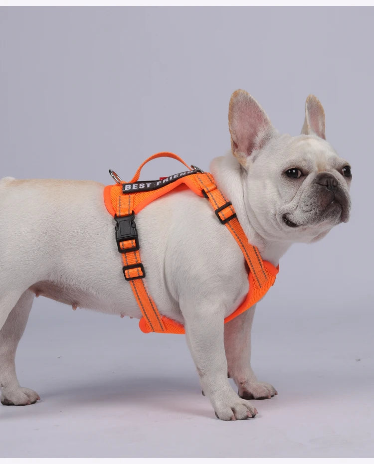 Dog Leash Harness Set Pet Reflective Bichon Frise Small Medium Dog Vest Harness Lead Outdoor Rope Walking Gear French Bulldog