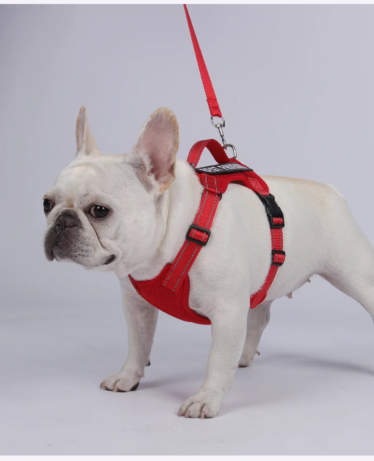 Dog Leash Harness Set Pet Reflective Bichon Frise Small Medium Dog Vest Harness Lead Outdoor Rope Walking Gear French Bulldog