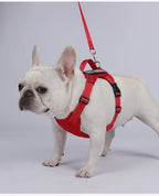 Dog Leash Harness Set Pet Reflective Bichon Frise Small Medium Dog Vest Harness Lead Outdoor Rope Walking Gear French Bulldog