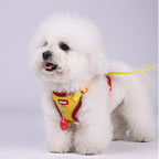 Soft Dog Harness Vest Leash , Adjustable Reflective Pet vest for Small Medium , Escape-Proof Soft Mesh Breathable  Walking Gear