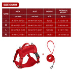 Dog Leash Harness Set Pet Reflective Bichon Frise Small Medium Dog Vest Harness Lead Outdoor Rope Walking Gear French Bulldog